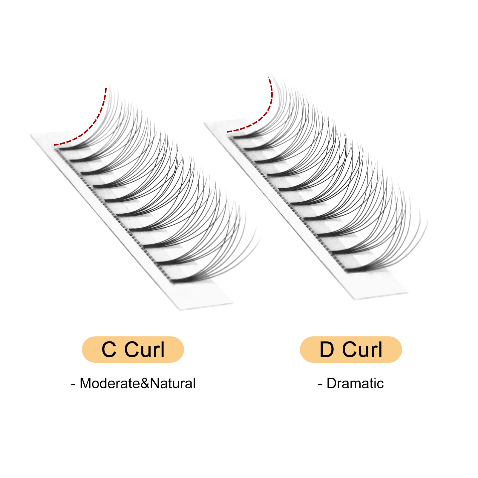 Quewel Premade Fans Lashes 8D/ - огляд і ціна Eyelash Extension Equipment
