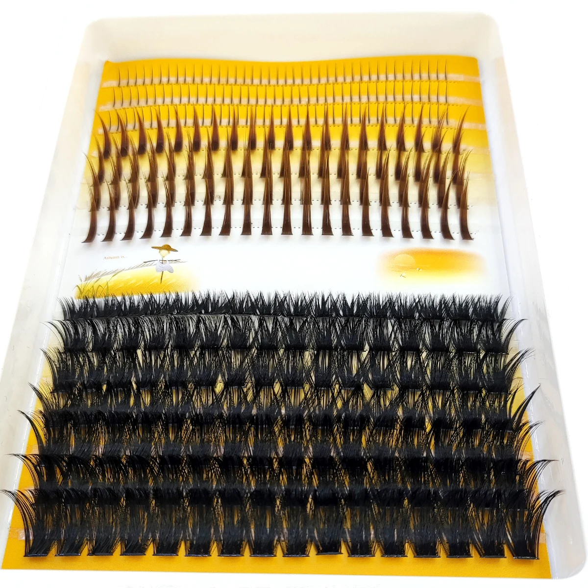 AMSDCN 60D-120D eyelash cluste - огляд і ціна Eyelash Extension Doll Eye