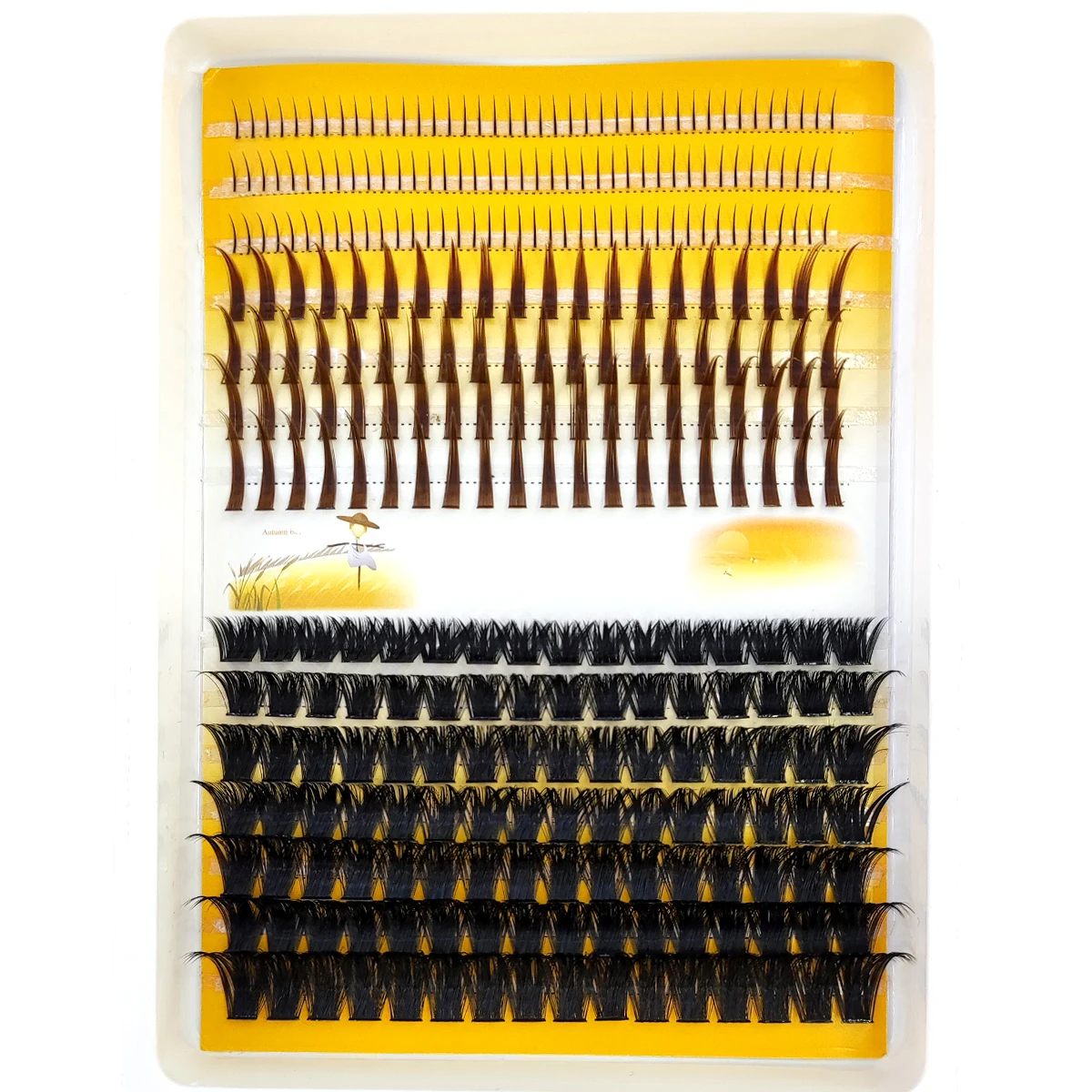 AMSDCN 60D-120D eyelash cluste - огляд і ціна Eyelash Extension Doll Eye