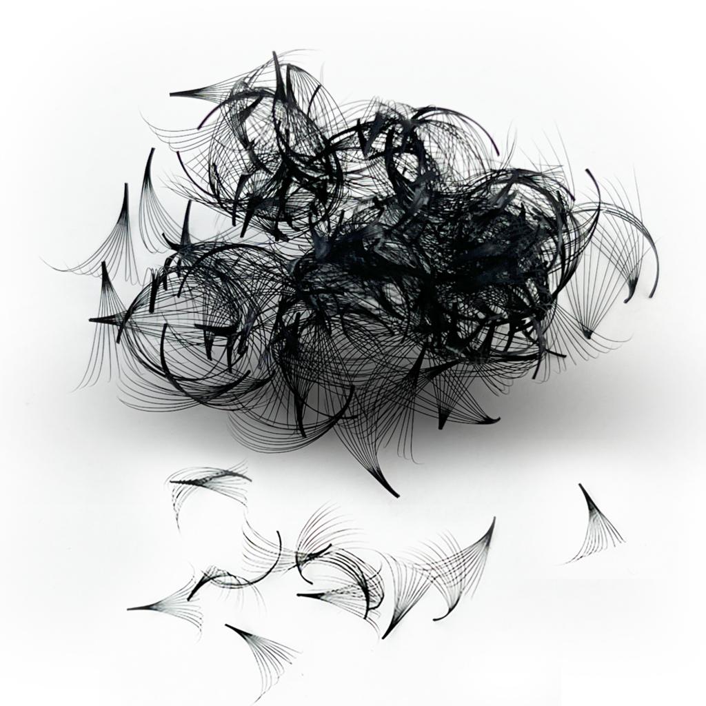 Tbestt Premade Fans Lashes 10D - огляд і ціна Eyelash Extension Equipment