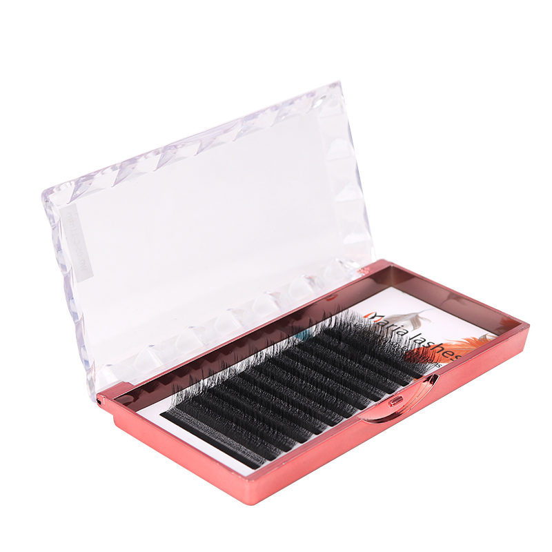 MARIA 10 Cases 4D W Shaped Bea - огляд і ціна Eyelash Extension Equipment