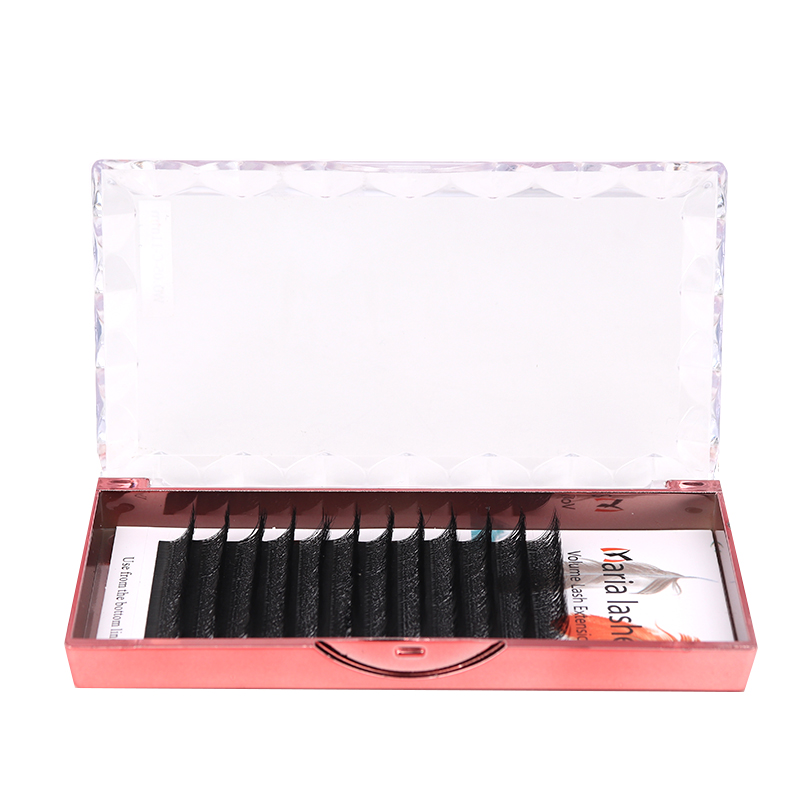 MARIA 10 Cases 4D W Shaped Bea - огляд і ціна Eyelash Extension Equipment